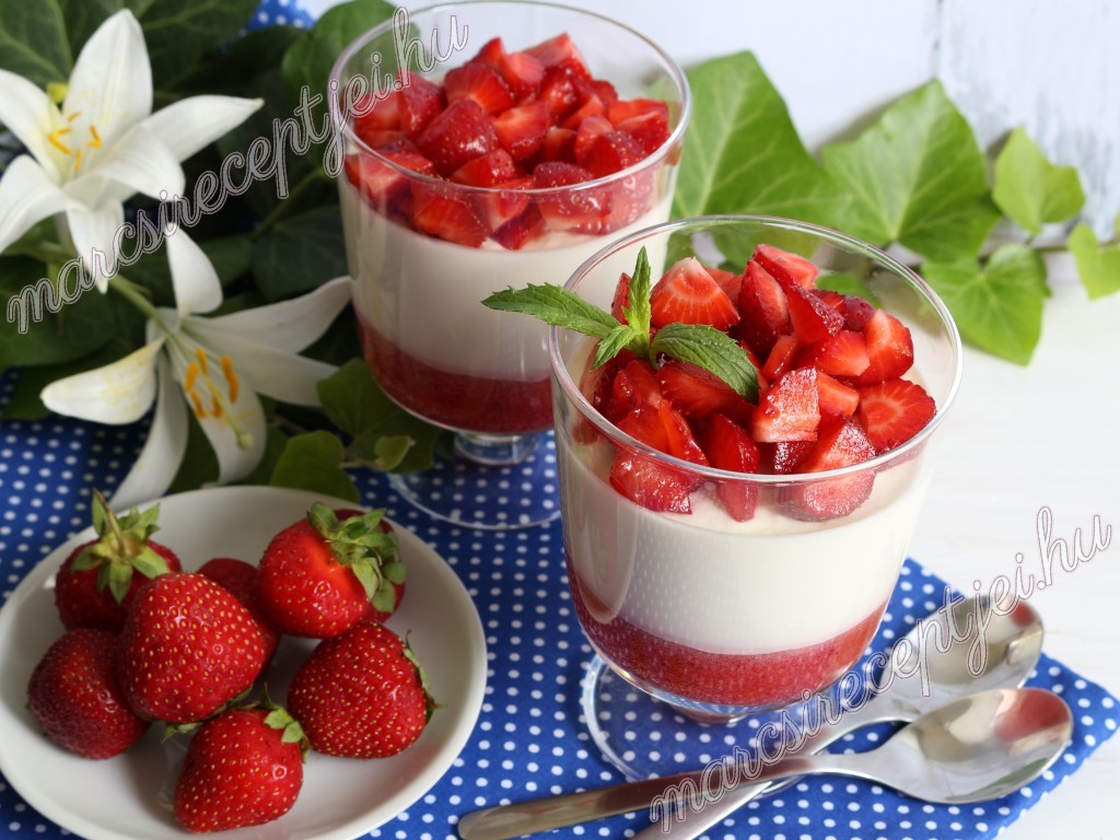Epres panna cotta 3